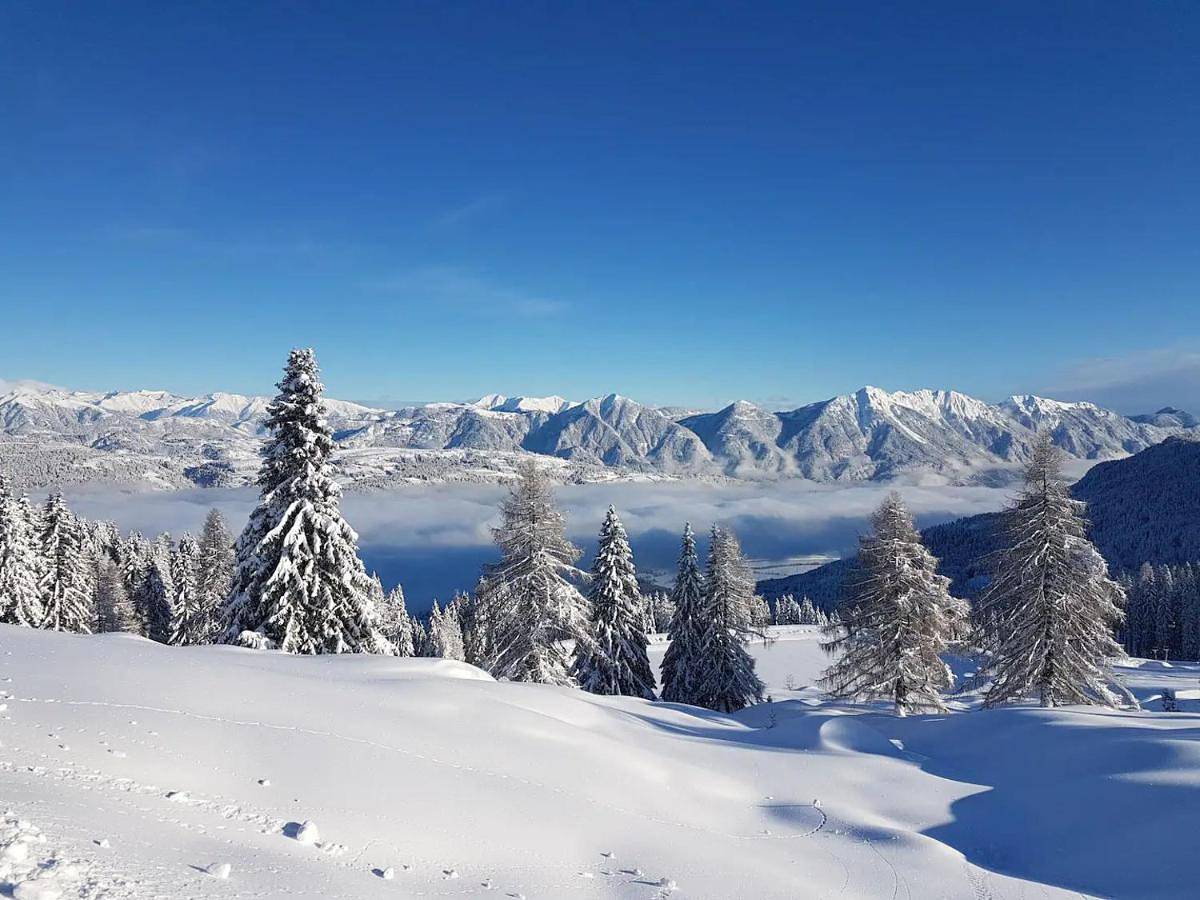 Ganze Wohnung, Wunderprächtiges Berghüttenerlebnis am Nassfeld in Sonnenalpe Naßfeld, Hermagor-Pressegger See
