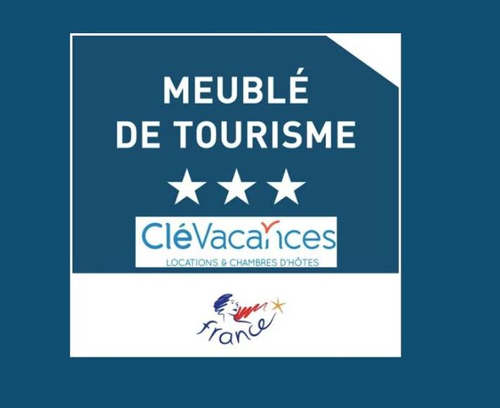 Location de vacances pour 14 personnes, avec jardin et vue, adapté aux familles à Les Châtelliers-Châteaumur - 2