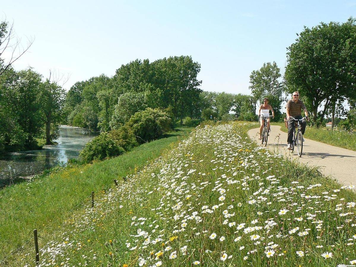 Superior Chalet in Opglabbeek, Hasselt en omgeving