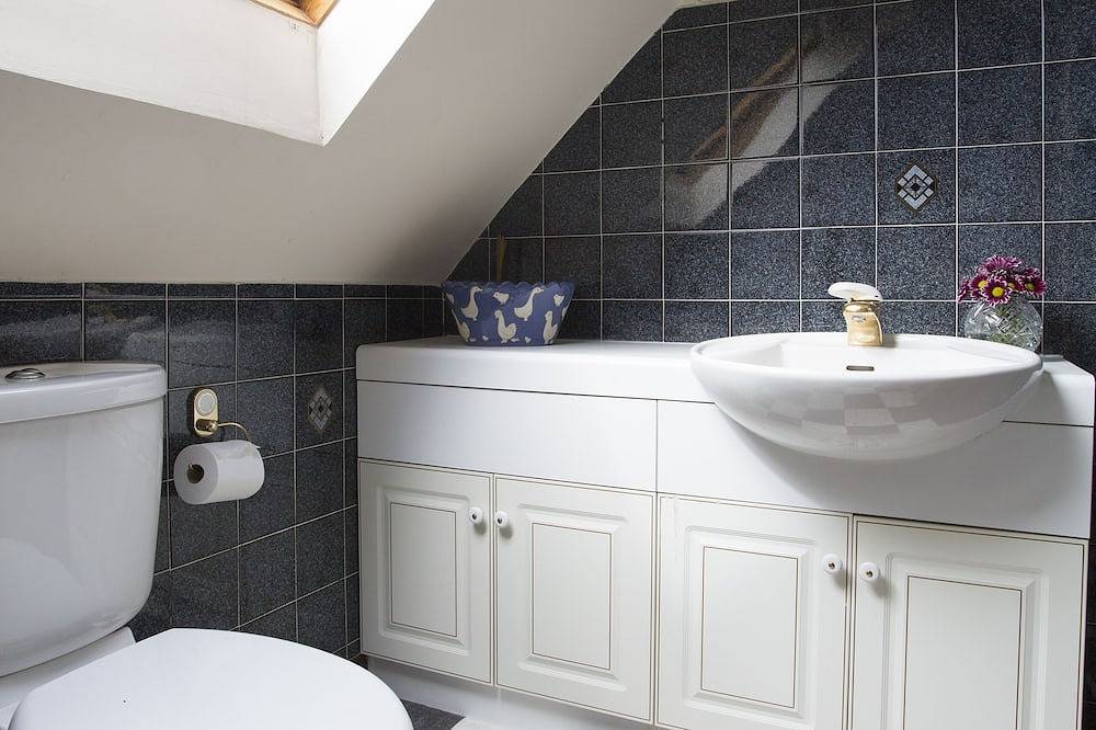 Molkereiurlaub in Ayr für große Gruppen, professionell + teilweise behindert in Ayr, Firth Of Clyde