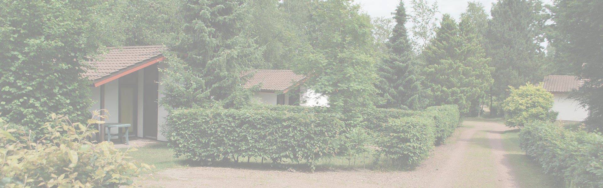Type 4p in Getelo, Landkreis Grafschaft Bentheim