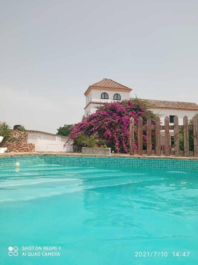 Casa rural para 17 personas, con piscina y terraza además de vistas y jardín en Carmona  - 4