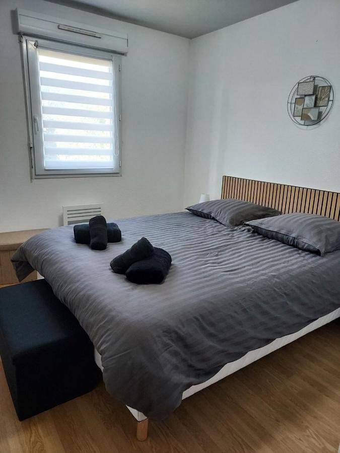 Gîte pour 4 personnes, avec terrasse et piscine à Nérac - 4