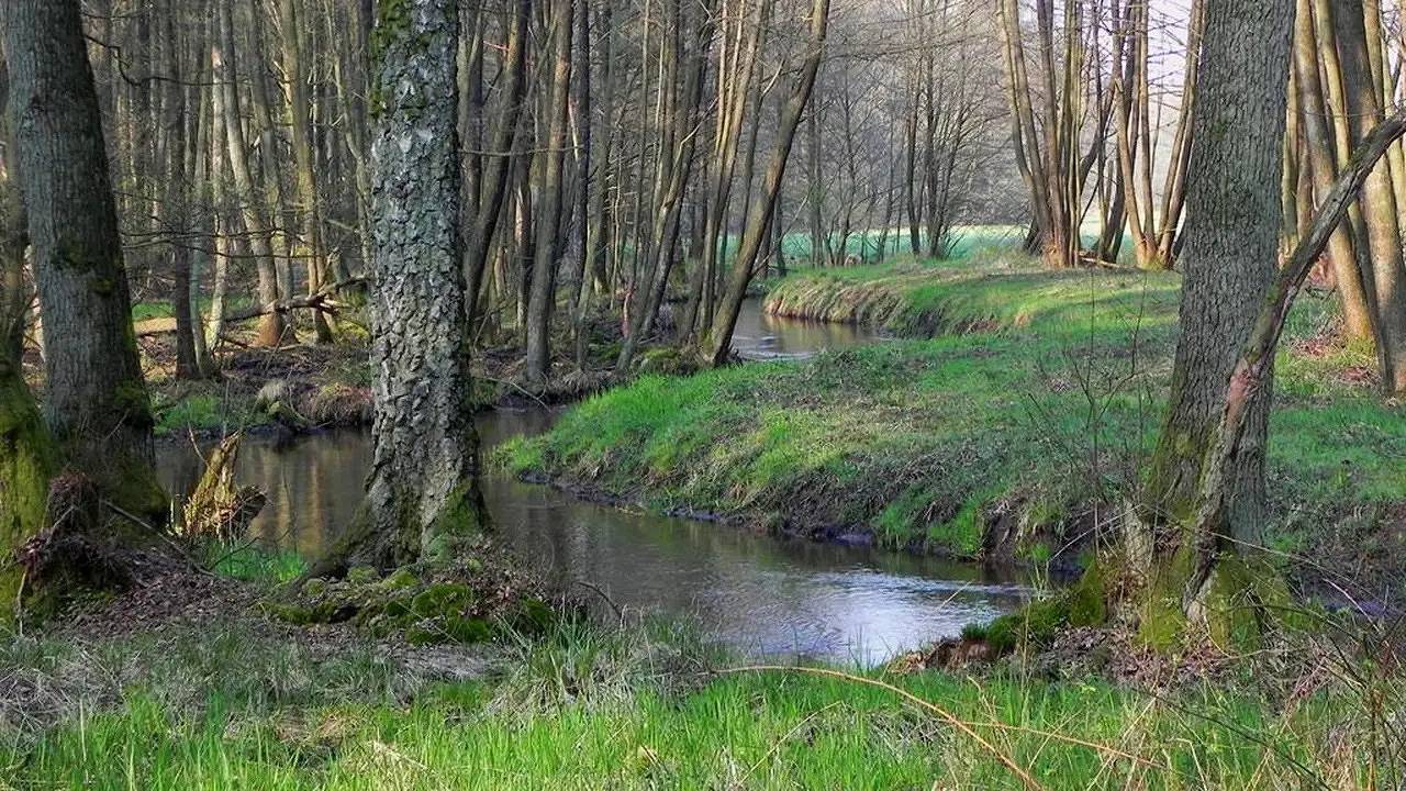 Ganze Ferienwohnung, Ferienwohnung für 4 Personen (45 m²) in Munster in Munster (Niedersachsen), Landkreis Heidekreis