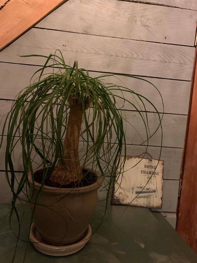 Location de vacances pour 4 personnes, avec jardin et terrasse à Touquin - 2