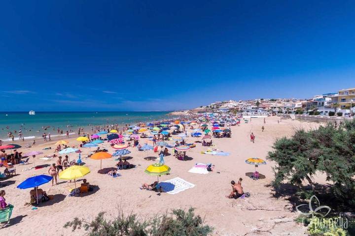 Gîte pour 4 personnes, animaux acceptés à Cava d'Aliga - 3