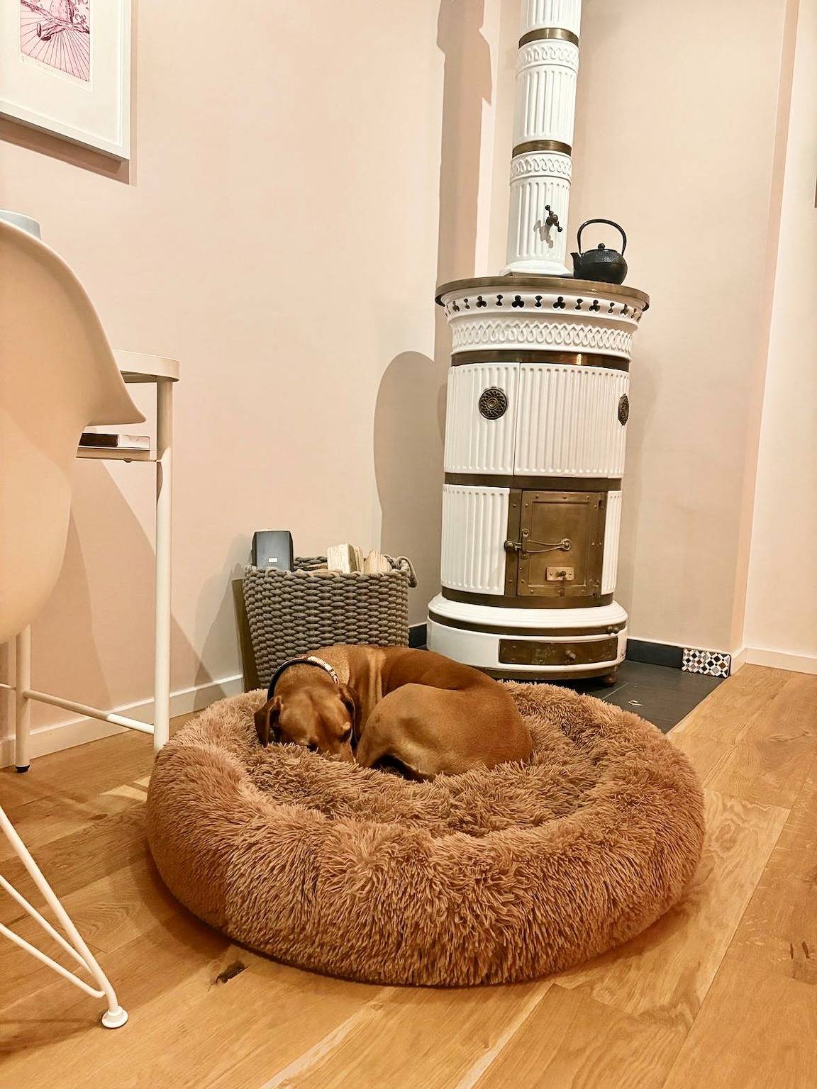 Ganze Ferienwohnung, Lys Hus in Wesselburen, Nordseeküste