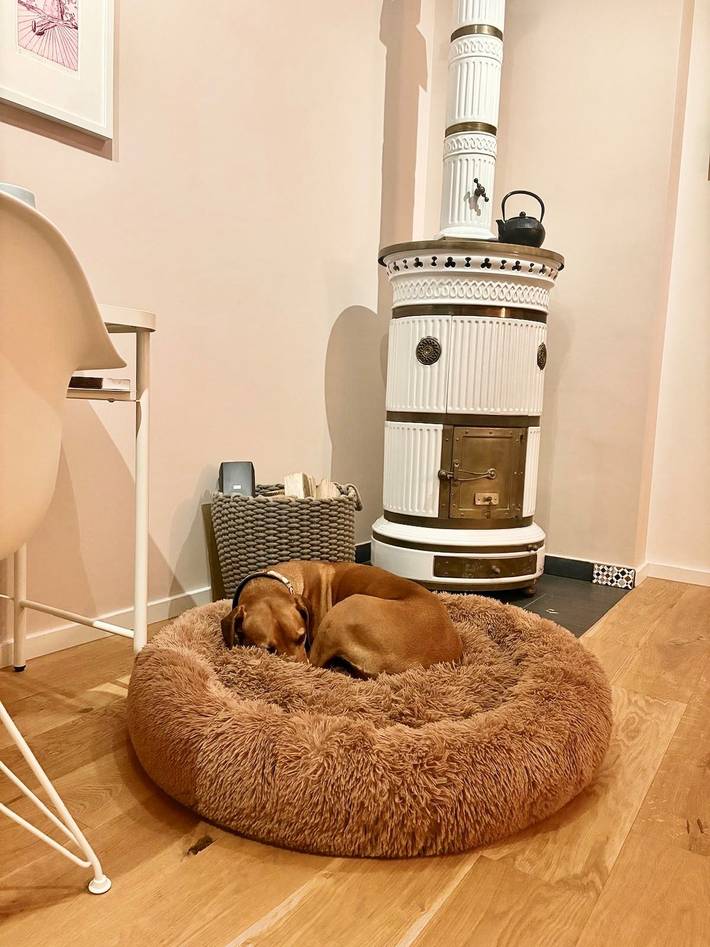 Ferienwohnung für 4 Personen, mit Terrasse, mit Haustier in Wesselburen - 4