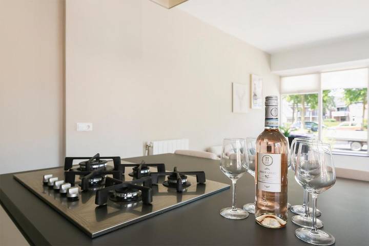 Ferienwohnung für 4 Personen, mit Terrasse und Garten in Leeuwarden - 3