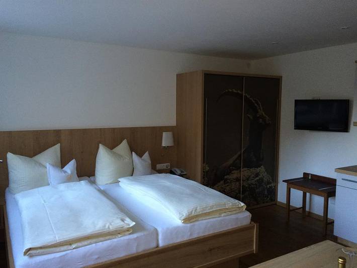 Hotel für 4 Personen, mit Garten und Sauna, mit Haustier in Mittelberg - 4