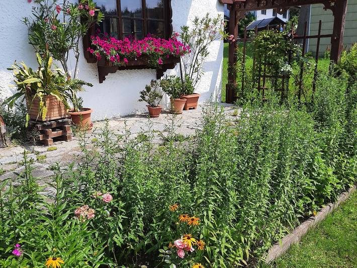 Ganze Ferienwohnung, Ferienwohnung Mutzenbauer - Ferienwohnung 60 qm im Og mit zwei separaten Schlafzimmern in Bad Endorf, Chiemsee