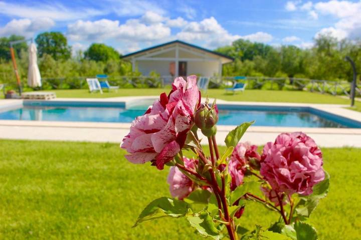 Privatzimmer für 4 Personen, mit Ausblick und Garten sowie Pool, mit Haustier in Castagneto Carducci - 4