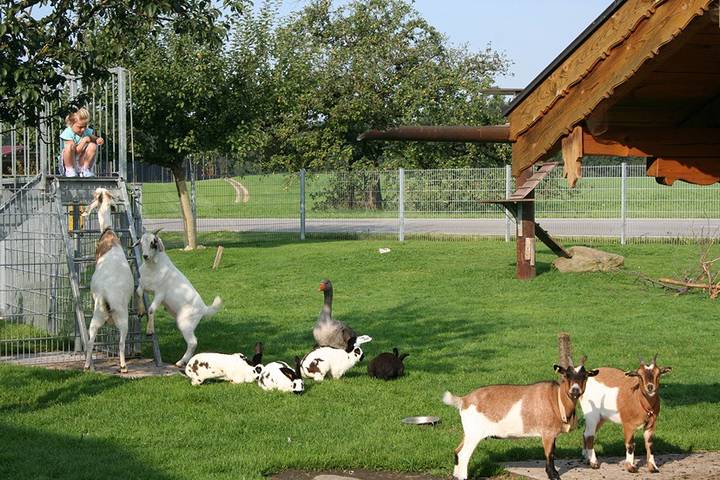 Ganze Ferienwohnung, Wimmerhof - Ferienwohnung "Hartsee", 44 qm Obergeschoss, 1 separates Schlafzimmer in Höslwang, Chiemsee