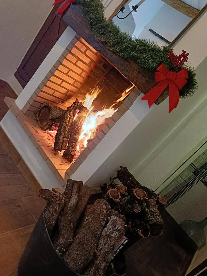 Location de vacances pour 4 personnes, avec terrasse et vue, animaux acceptés à Segura de León - 3