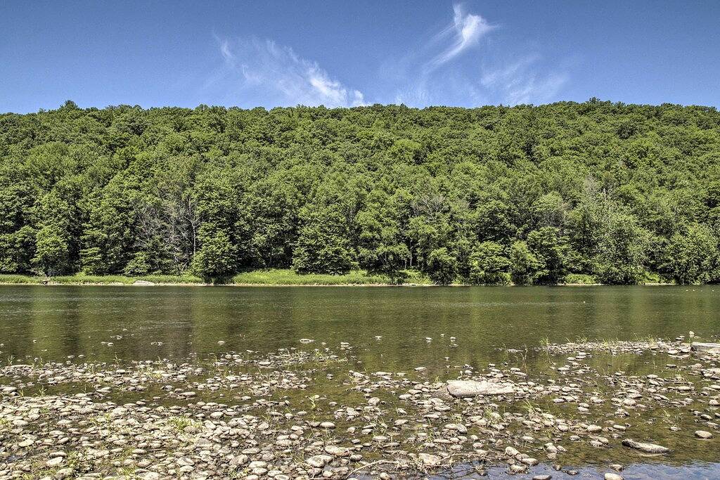 2Br Callicoon House auf dem Delaware River! in Sullivan County