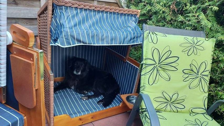 Ferienhaus für 5 Personen, mit Garten in Zinnowitz - 3