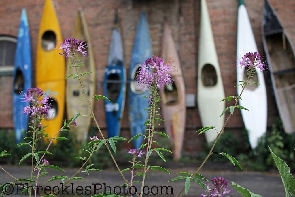 Ganze Wohnung, Am Fluss in Salida, sauber und geräumig. Gehen Sie in die Innenstadt, Str 0267 in Salida, Chaffee County