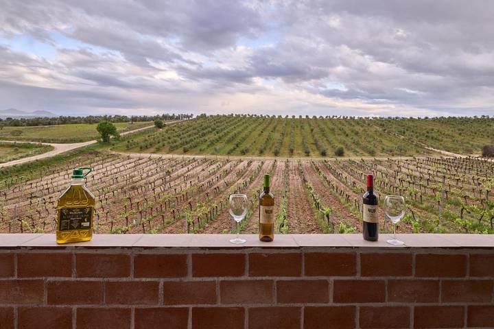 Casa rural para 12 personas, con Balcón y Terraza además de Jardín y Piscina en Alcabón - 4