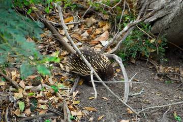 Cottage for 4 People in New South Wales, Photo 1