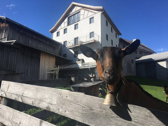 Ferienwohnung für 8 Personen, mit Garten - 1