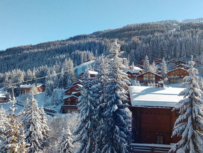 Appartement entier, T3 en duplex skis aux pieds, 9 pers, parking in La Tania, La Perrière