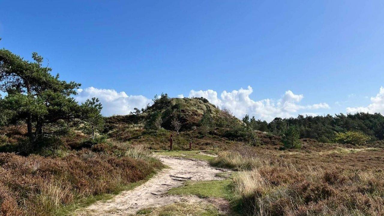 Ferienhaus für 6 Personen (138 m²) in Rømø in Toftum, Rømø