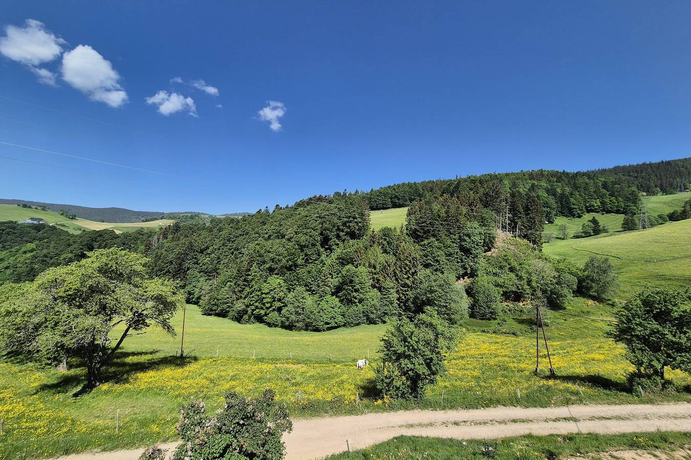 Ferienhaus für 7 Personen mit Garten in Lapoutroie, Regionaler Naturpark Belchen der Vogesen
