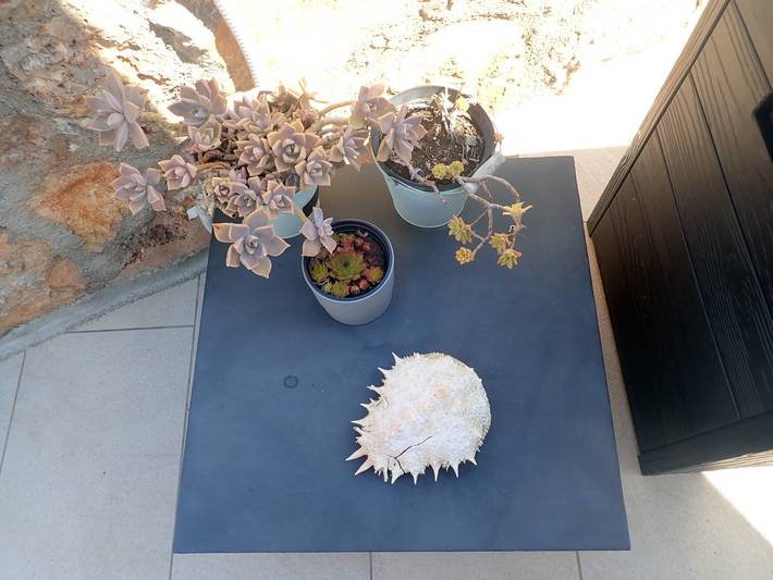 Ferienwohnung für 4 Personen, mit Terrasse in Starigrad - 4