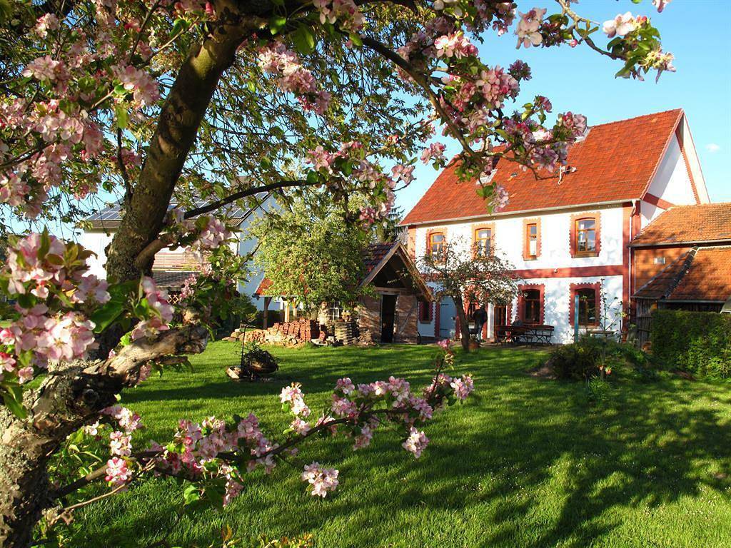 Altes Schifferhaus in Wesertal, Hessisches Bergland