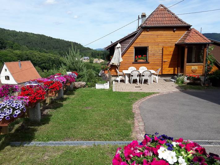 Gîte pour 6 personnes, avec jardin et terrasse dans Grand Est - 3