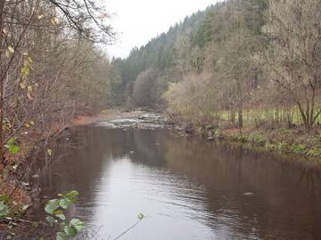 Villa für 3 Personen in Borstendorf, Mittlere Erzgebirge, Bild 4