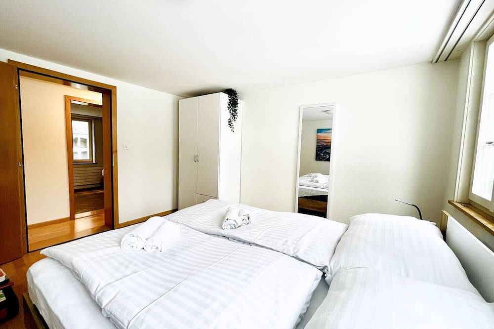 Entire apartment, Beautiful Old Building Apartment In The Center in St. Gallen, Lake Constance (Switzerland)