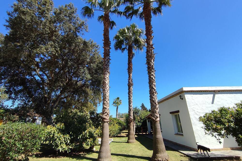 Finca la Hijuela, Casa Azahar in Vejer de la Frontera, Costa de la Luz