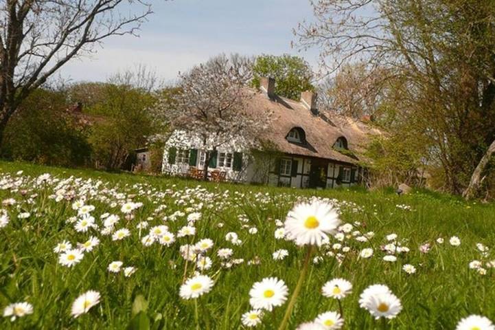 Ferienhaus für 20 Personen in Schaprode