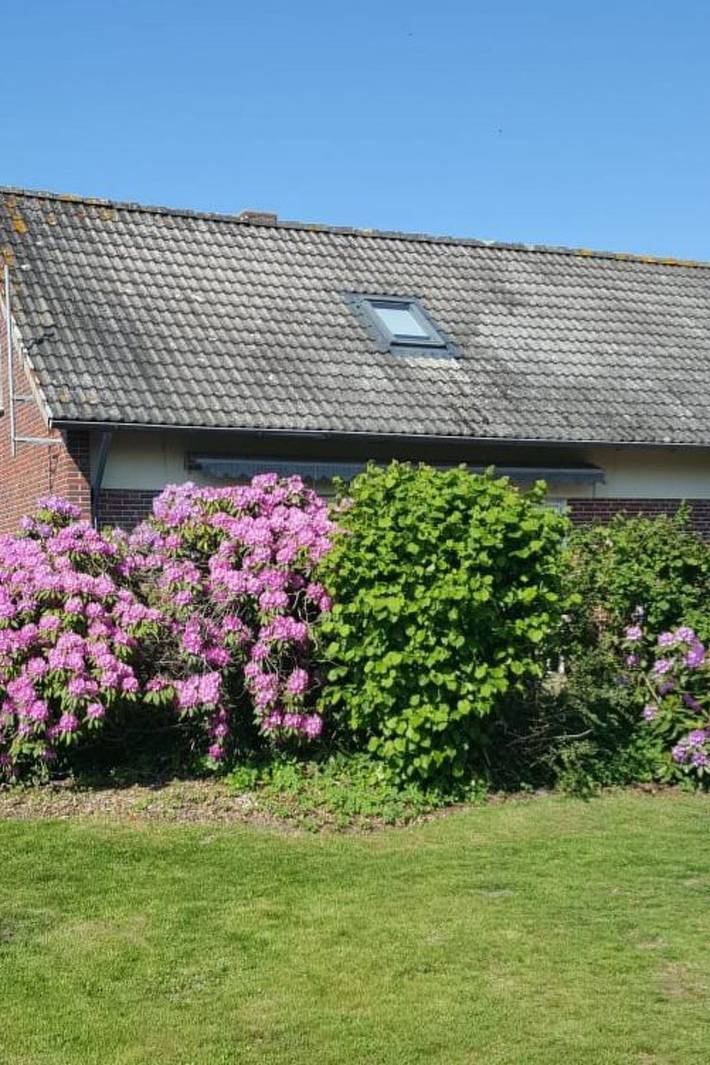 Ferienhaus für 6 Personen, mit Garten, mit Haustier in Jade - 3