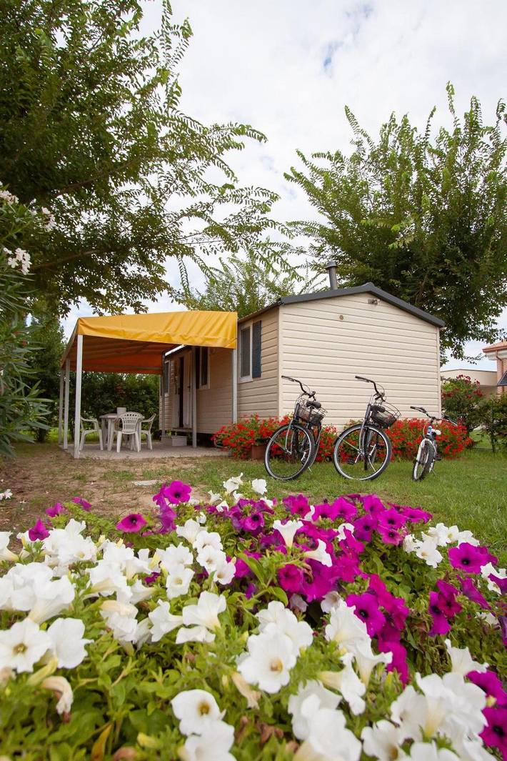 Camping für 5 Personen, mit Garten in Italien - 4