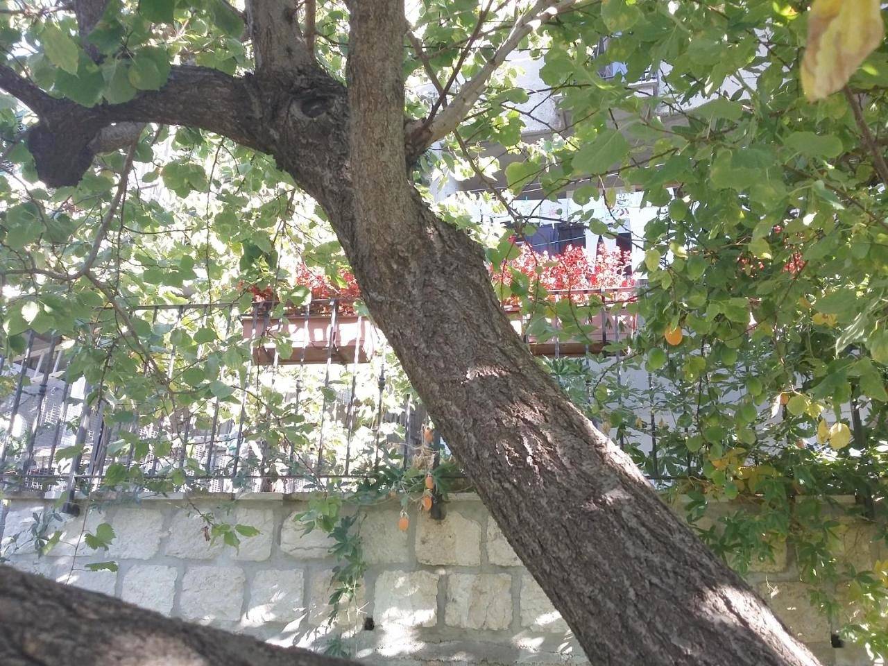 Cusanarella Mia in Cusano Mutri, Matese