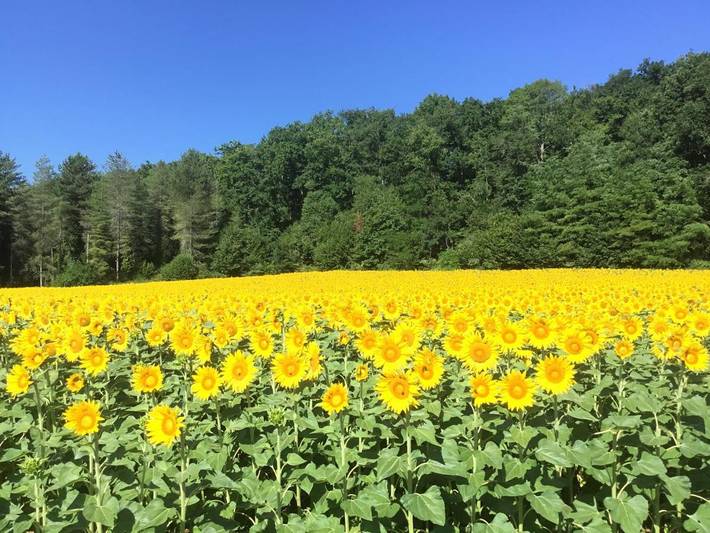 Location de vacances pour 4 personnes, avec jardin ainsi que vue et piscine à Saint-Front-la-Rivière - 4