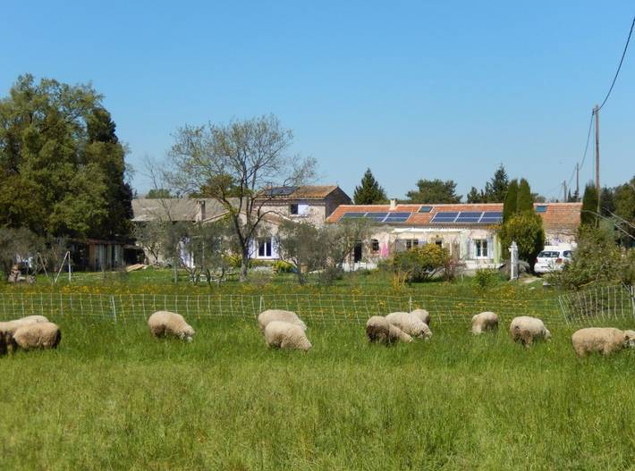 Gîte pour 2 personnes, avec piscine ainsi que terrasse et jardin dans les Bouches-du-Rhône - 4