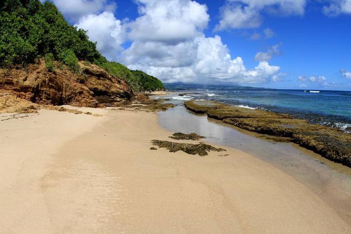 Hôtel pour 4 personnes, avec piscine et jardin dans Anse l'Etang - 3