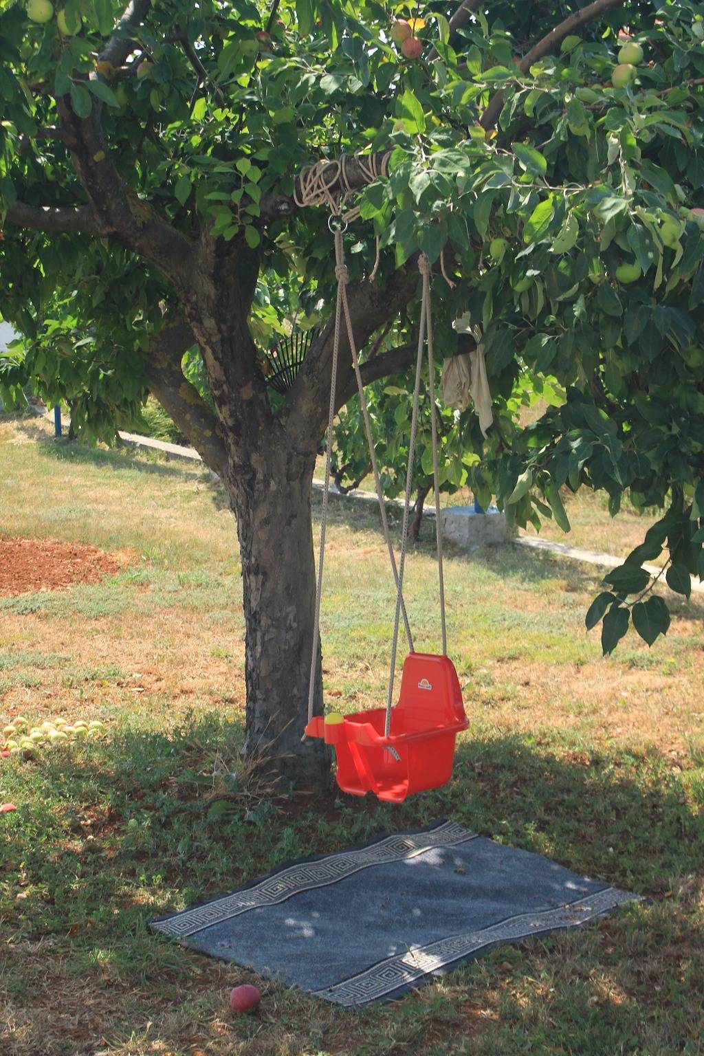 Room with terrace Sušica, Ugljan S-8265-a in Ugljan, Insel Ugljan