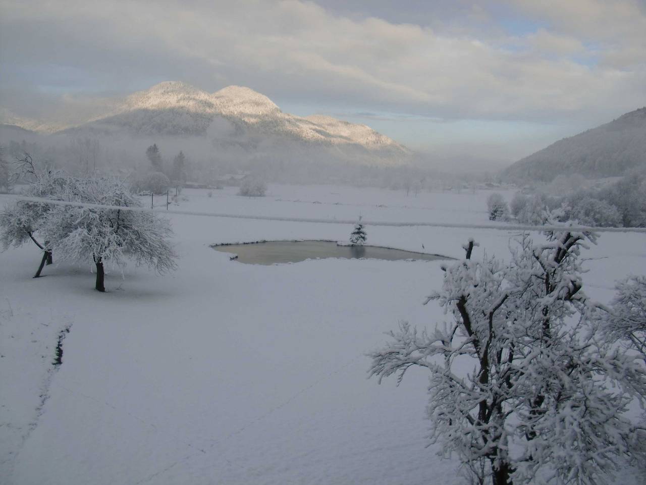 Ferienalm - Ferienalm in Chiemgauer Alpen, Ruhpolding