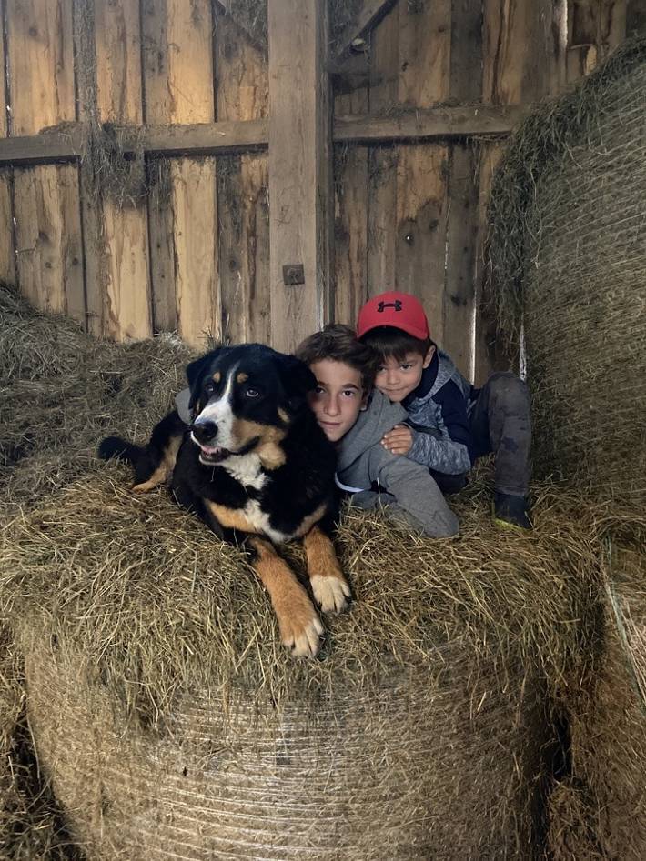 Ferienhaus für 3 Personen, mit Garten und Balkon in Traunstein - 4