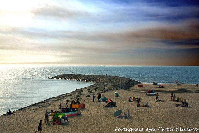 Atlantic Nature Beach House in Ria de Aveiro, Mira (Coimbra)