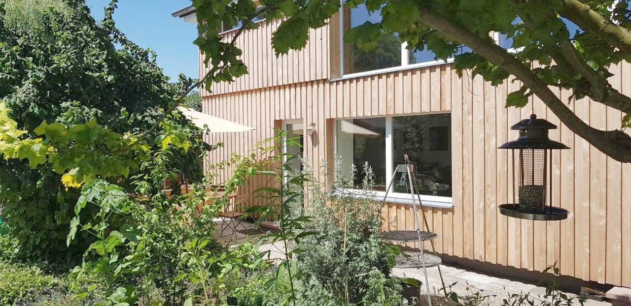 Ganze Wohnung, Deluxe Apartment in Halle (Weserbergland), Landkreis Holzminden