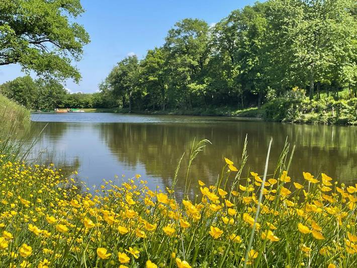 Appartement de vacances pour 6 personnes, avec Terrasse ainsi que Jardin et Vue sur le lac dans les Pays de la Loire - 4