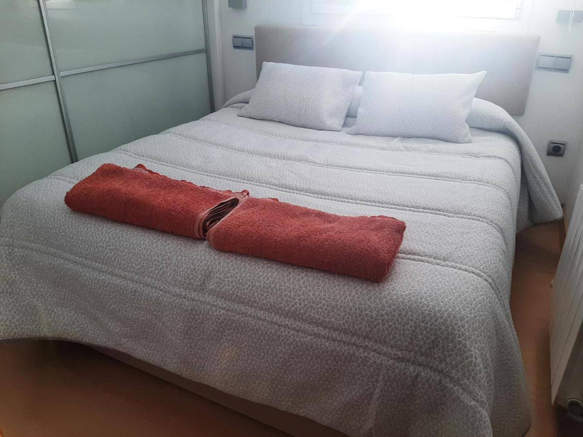 Apartamento entero, Atico en el centro de Vitoria Parking gratis in Vitoria-Gasteiz, Cordillera Cantábrica