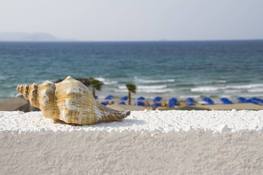 Ganze Wohnung, Weißes Haus Kostas | am Meer in Kokkini Hani, Iraklio-Heraklion und Umgebung