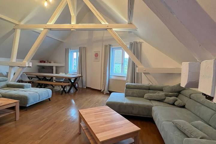 Location de vacances pour 12 personnes, avec jardin et jacuzzi, animaux acceptés à Furdenheim