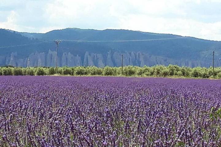 Location de vacances pour 6 personnes, avec jardin ainsi que vue et piscine à Montfort - 3